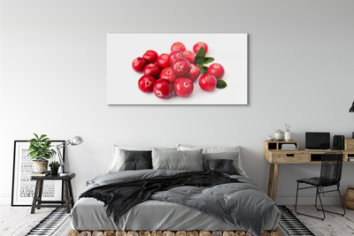 Quadro acrílico Abacate