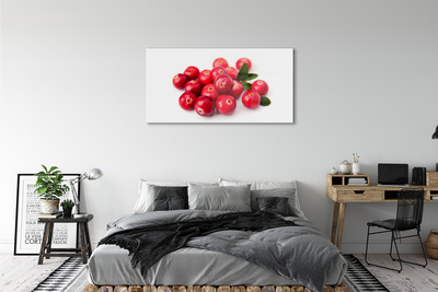 Quadro acrílico Abacate