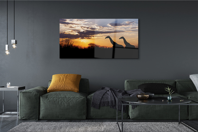 Quadro acrílico Girafas árvores nuvens