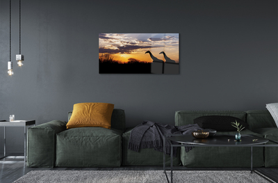Quadro acrílico Girafas árvores nuvens