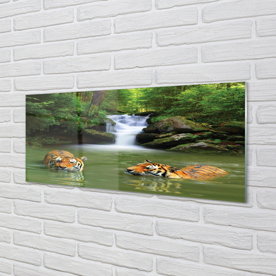 Quadro acrílico Cachoeira do Tigre