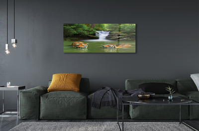 Quadro acrílico Cachoeira do Tigre