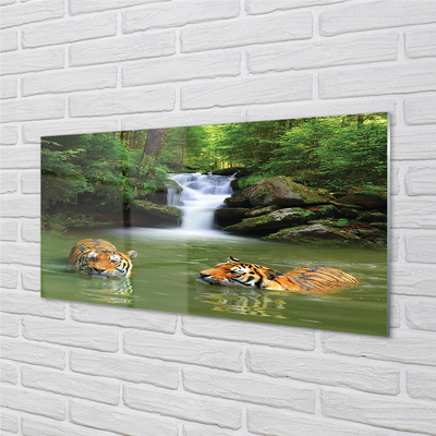 Quadro acrílico Cachoeira do Tigre