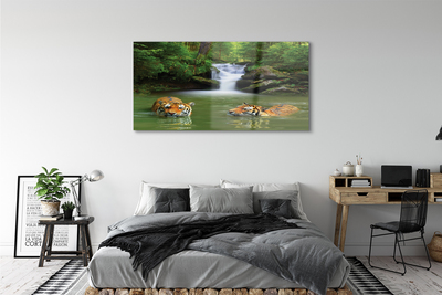 Quadro acrílico Cachoeira do Tigre