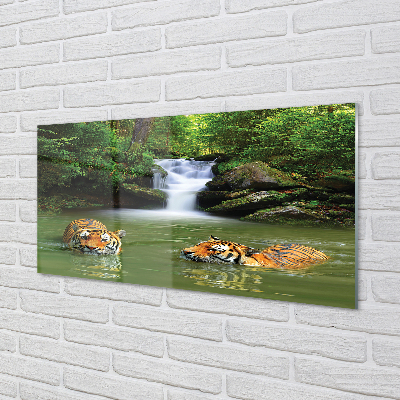 Quadro acrílico Cachoeira do Tigre