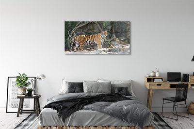 Pintura acrílica Tigre da selva