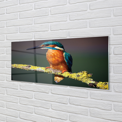 Quadro acrílico Um pássaro colorido em um galho