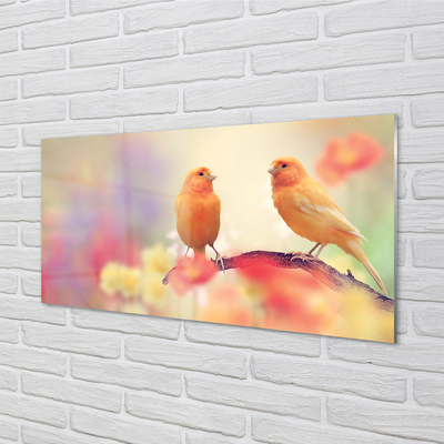 Pintura acrílica Papagaios coloridos