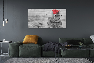 Quadro acrílico Rosa