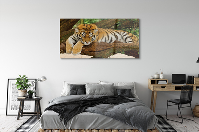 Quadro acrílico Árvore-tigre