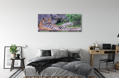 Pintura acrílica Tigre no zoológico