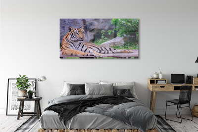 Pintura acrílica Tigre no zoológico