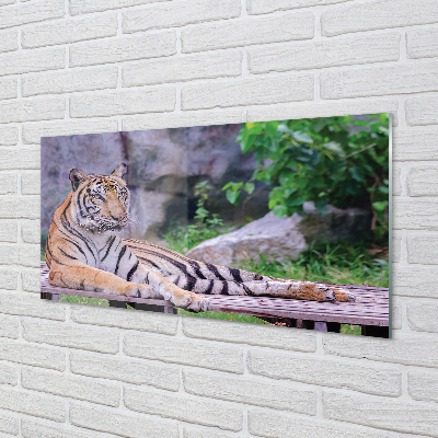 Pintura acrílica Tigre no zoológico
