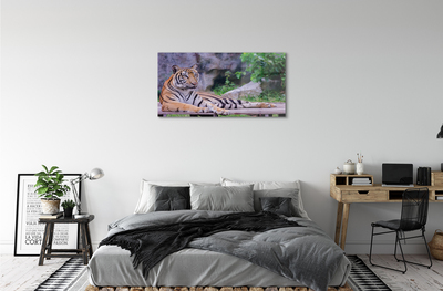 Pintura acrílica Tigre no zoológico