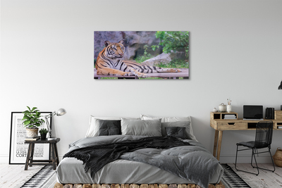 Pintura acrílica Tigre no zoológico