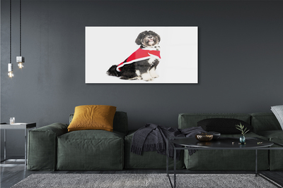 Pintura acrílica Cachorro