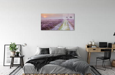 Pintura acrílica Campo de urze