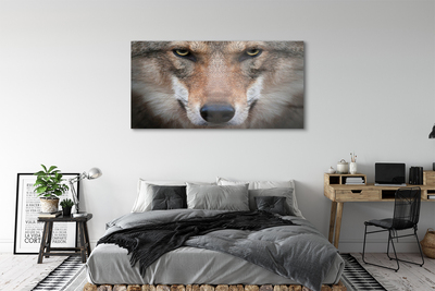 Pintura acrílica Olhos de lobo