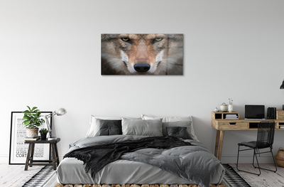 Pintura acrílica Olhos de lobo