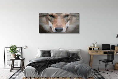 Pintura acrílica Olhos de lobo