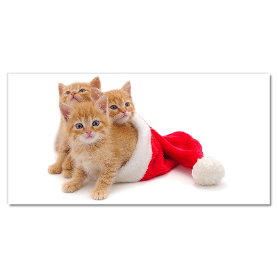 Quadro acrílico Gatos Natal Papai Noel