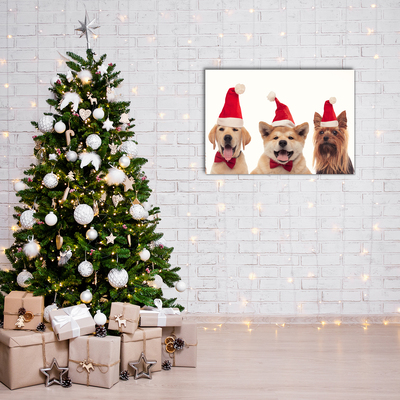 Quadro acrílico Cães Papai Noel Natal