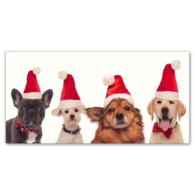 Quadro acrílico Cães Papai Noel Natal