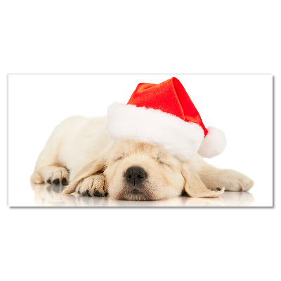 Quadro acrílico Chapéu de Papai Noel para filhotes de inverno