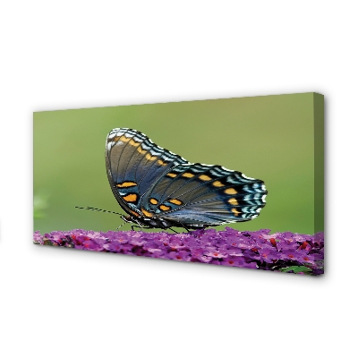 Pintura em tela Borboleta colorida em flores