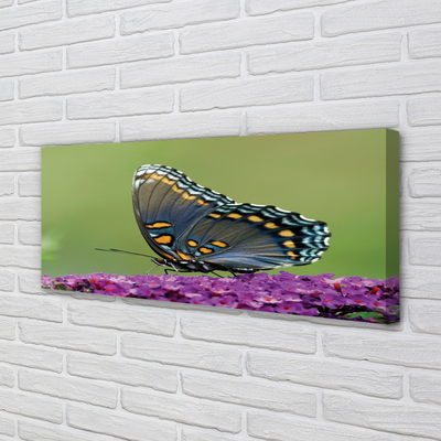 Pintura em tela Borboleta colorida em flores