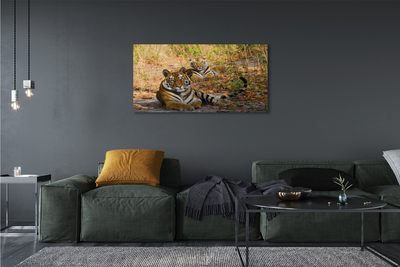 Pintura em tela Tigres