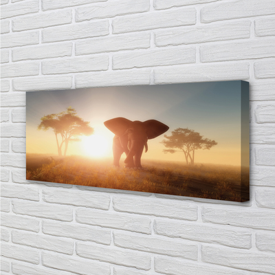 Quadro em tela Nascer do sol na árvore elefante