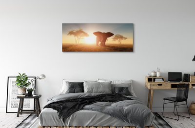 Quadro em tela Nascer do sol na árvore elefante
