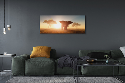 Quadro em tela Nascer do sol na árvore elefante