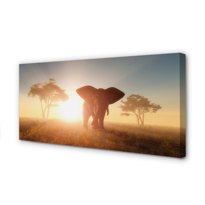 Quadro em tela Nascer do sol na árvore elefante