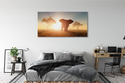 Quadro em tela Nascer do sol na árvore elefante