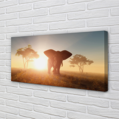 Quadro em tela Nascer do sol na árvore elefante
