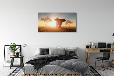 Quadro em tela Nascer do sol na árvore elefante