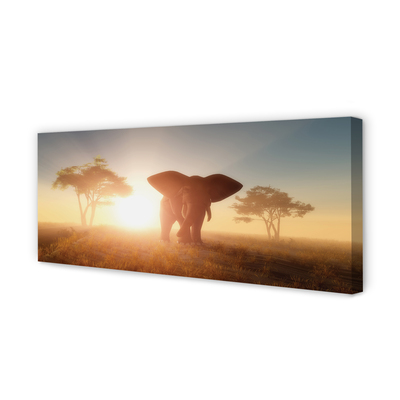 Quadro em tela Nascer do sol na árvore elefante