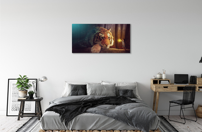 Quadro em tela Homem-tigre da floresta