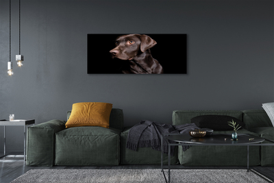 Pintura em tela Cachorro marrom