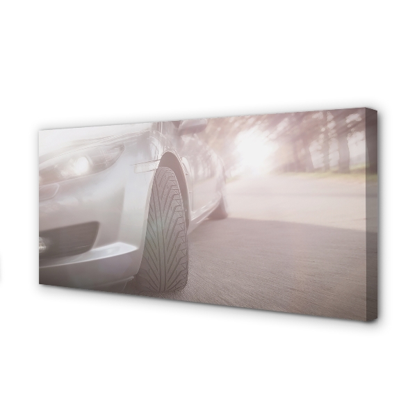 Quadro em tela Árvores de rua de carros prateados