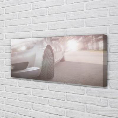 Quadro em tela Árvores de rua de carros prateados