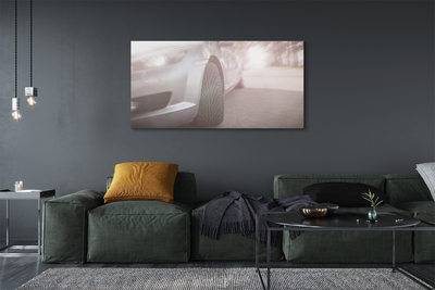 Quadro em tela Árvores de rua de carros prateados