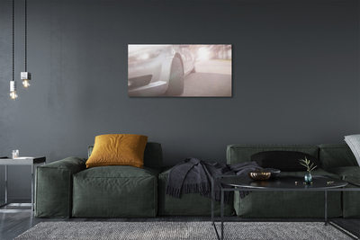 Quadro em tela Árvores de rua de carros prateados