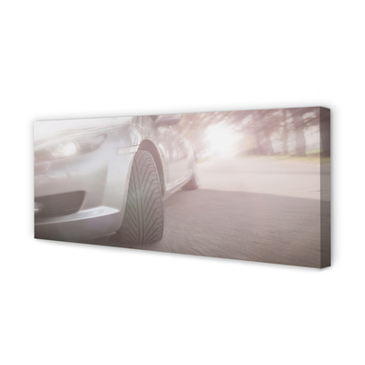 Quadro em tela Árvores de rua de carros prateados