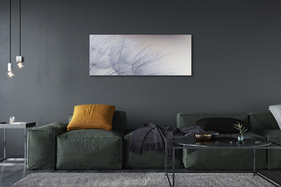 Quadro em tela Gotas de orvalho dente-de-leão