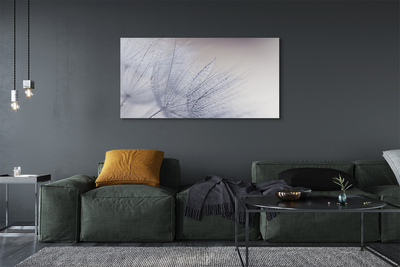 Quadro em tela Gotas de orvalho dente-de-leão