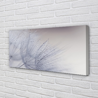 Quadro em tela Gotas de orvalho dente-de-leão