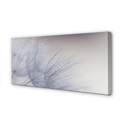 Quadro em tela Gotas de orvalho dente-de-leão